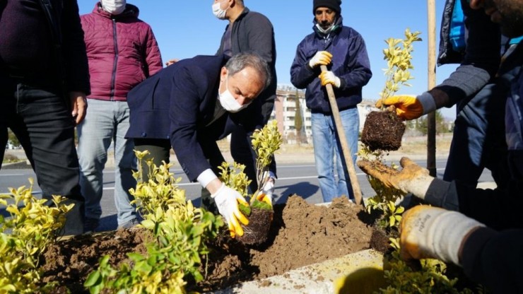 Başkan Kılınç, Refüje Çiçek Dikti