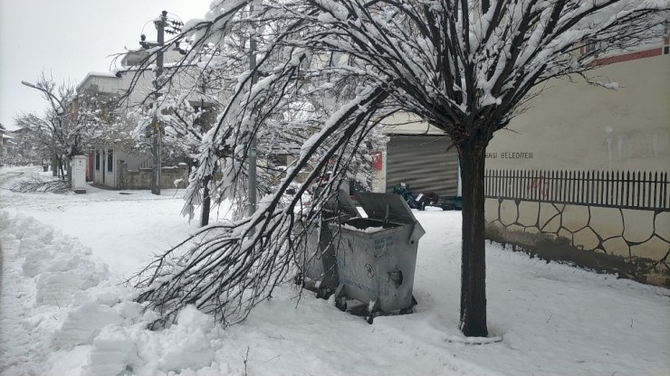 Kar Yağışı Elektrik Direklerini Devirdi