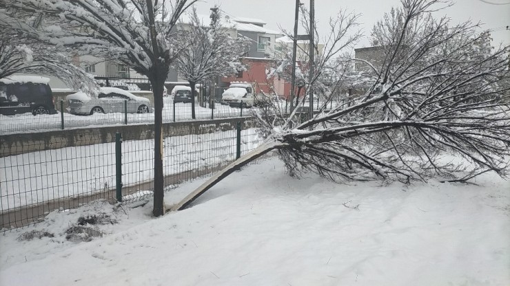 Kar Yağışı Elektrik Direklerini Devirdi