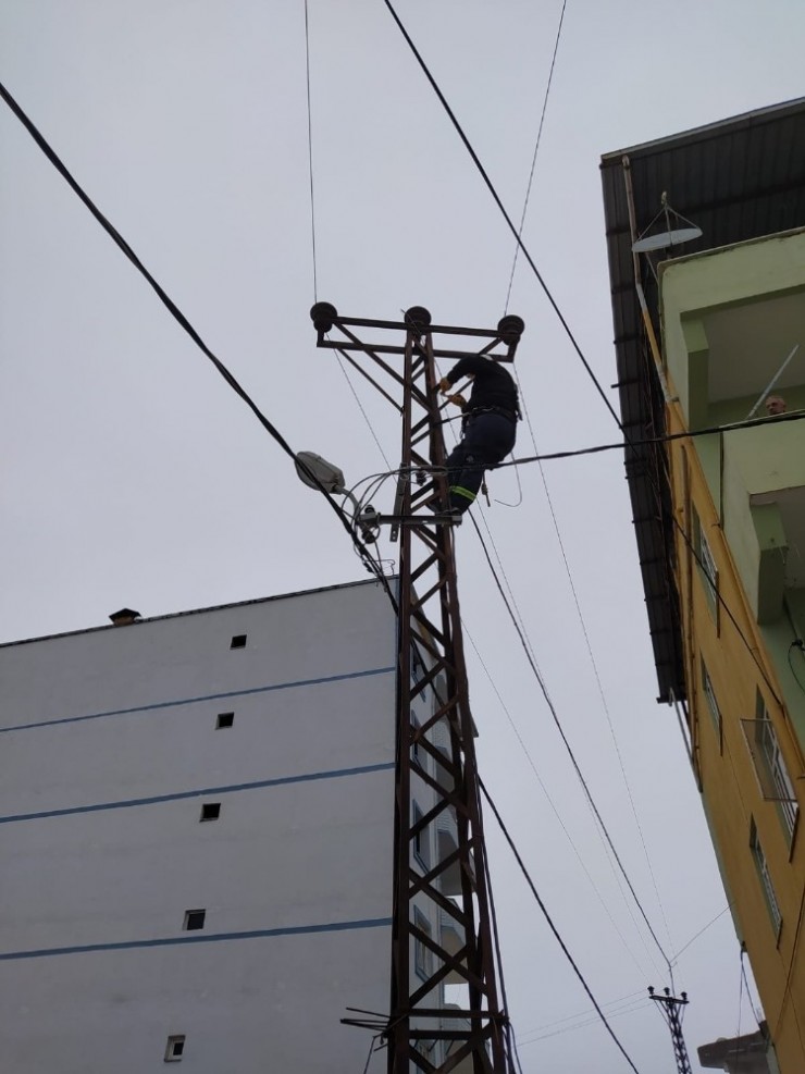 Gölbaşı İlçesindeki Elektrik Hatlarında Yoğun Çalışma