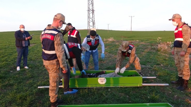 Hırsızlık İçin Çıktığı Elektrik Direğinde Akıma Kapılarak Öldü