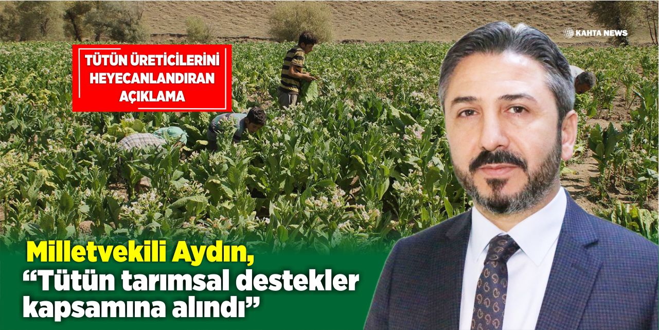 ahmet-aydin-002.jpg
