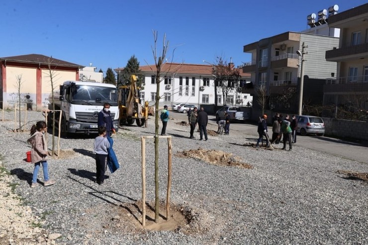 Alitaşı Mahallesi Yeşilleniyor