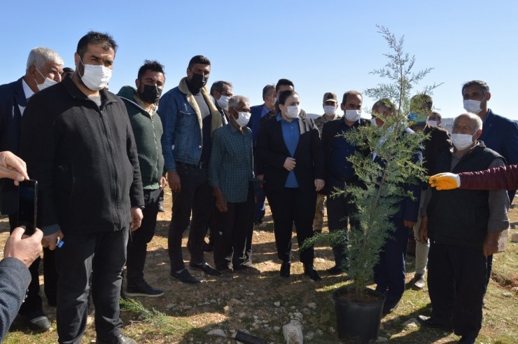 Besni’de Fethi Sekin Hatıra Ormanında Fidan Dikimi Gerçekleşti