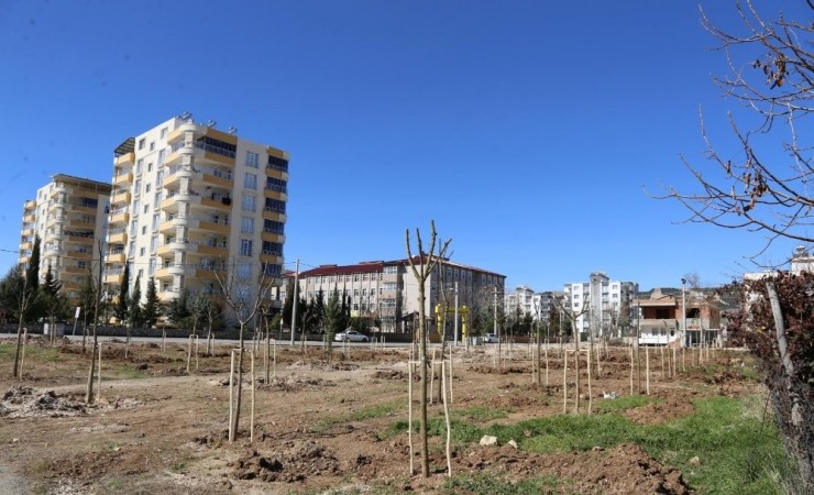 Yeni Mahalleye ‘mahalle Bahçesi’ Yapıldı