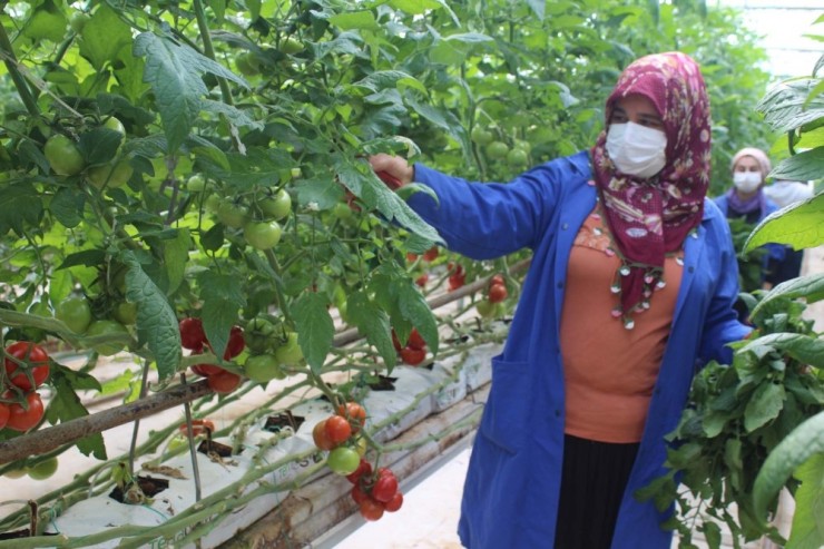 Kendi Günlerinde Çalışan Tarım İşçisi Kadınlar Unutulmadı