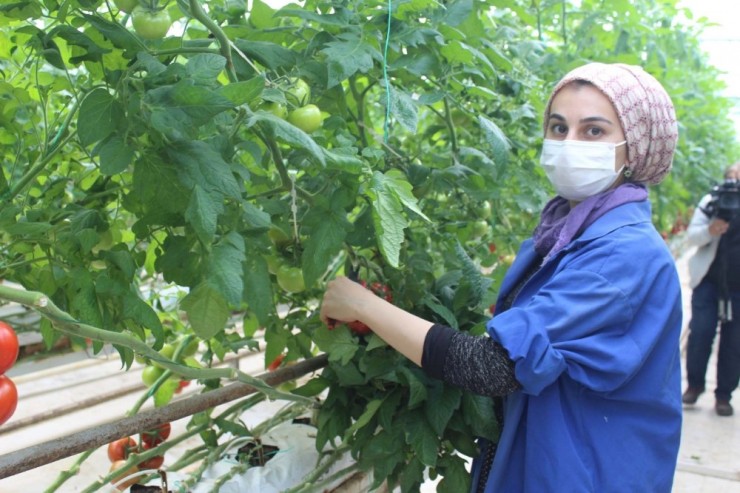 Kendi Günlerinde Çalışan Tarım İşçisi Kadınlar Unutulmadı