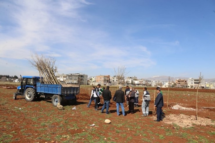 Yunus Emre Mahallesine En Büyük Bahçe