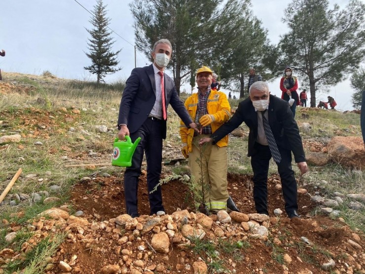 Adıyaman’da Mercan Hatıra Ormanı Oluşturuldu