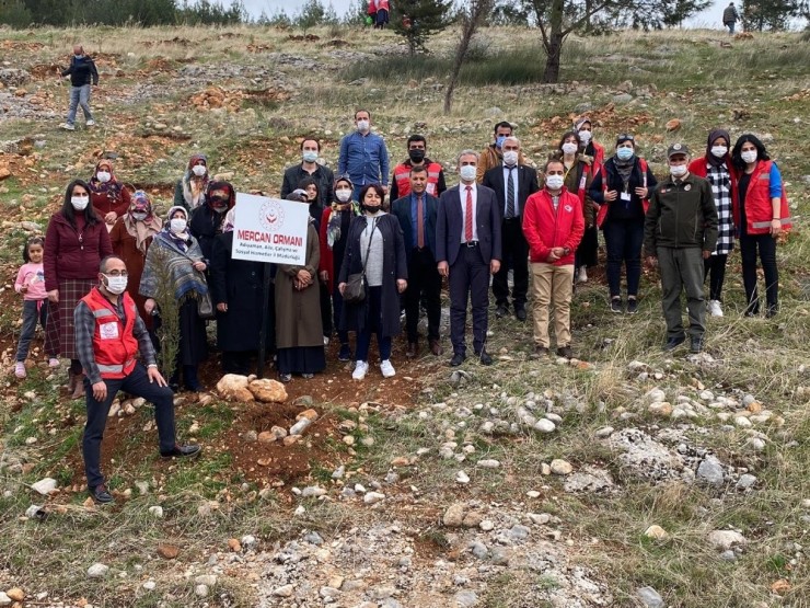 Adıyaman’da Mercan Hatıra Ormanı Oluşturuldu