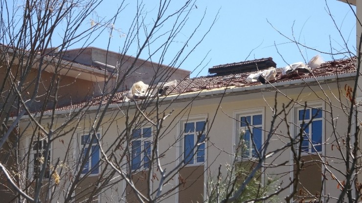 Şiddetli Rüzgar Ağaçları Kökünden Söküp Çatıları Uçurdu