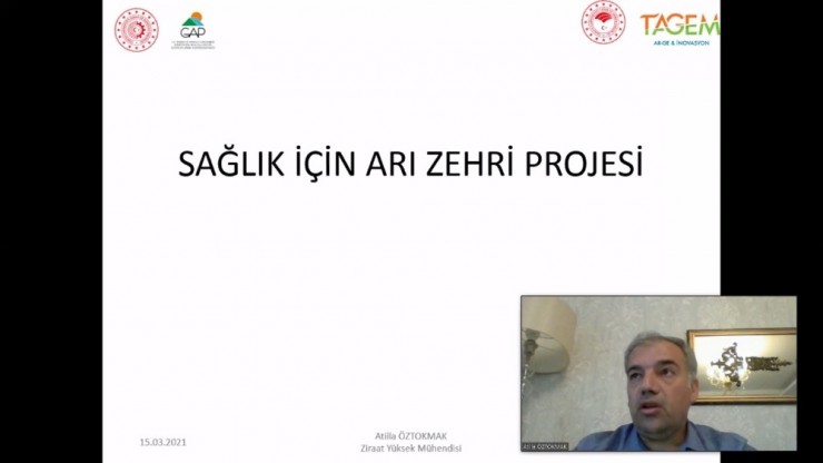 ‘sağlık İçin Arı Zehri’ Projesi Yürütülüyor