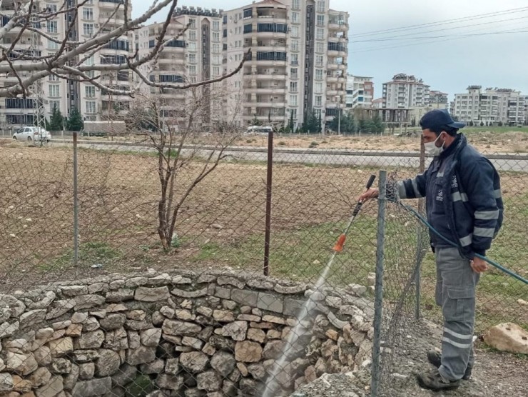 Haşereden Uzak Bir Yaz Mevsimi İçin Çalışılıyor