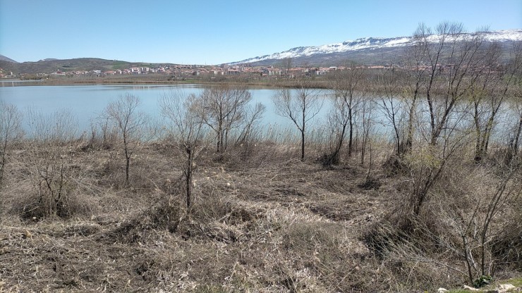 Yağmur Ve Şiddetli Rüzgar Sazlık Alanda Hasar Bıraktı