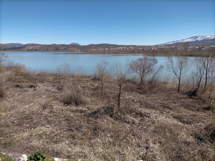 Yağmur Ve Şiddetli Rüzgar Sazlık Alanda Hasar Bıraktı