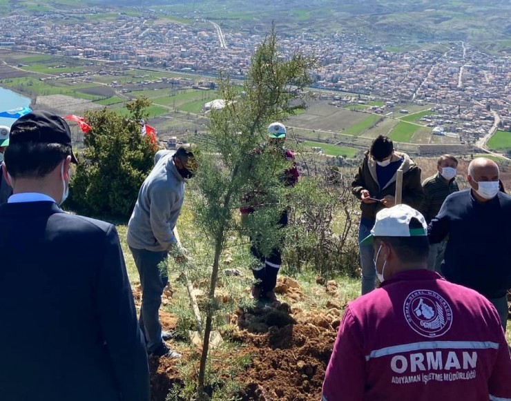 ‘önce Vatan Tepesi’nde Fidanlar Toprakla Buluştu