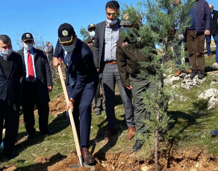 ‘önce Vatan Tepesi’nde Fidanlar Toprakla Buluştu