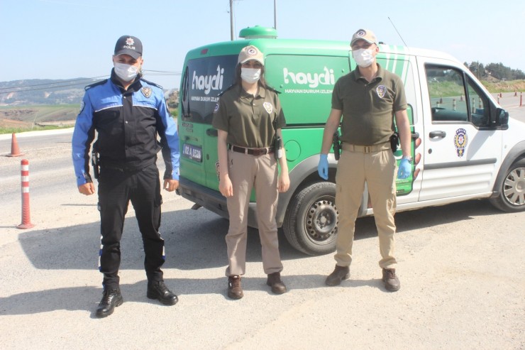 Polis Ekipleri Sokak Hayvanlarının Karnını Doyurdu