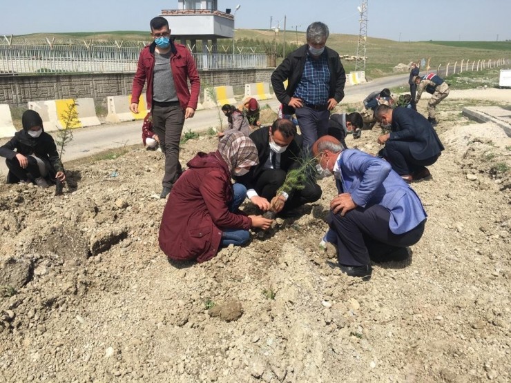 Öğretmen Ve Öğrenciler Fidan Diktiler