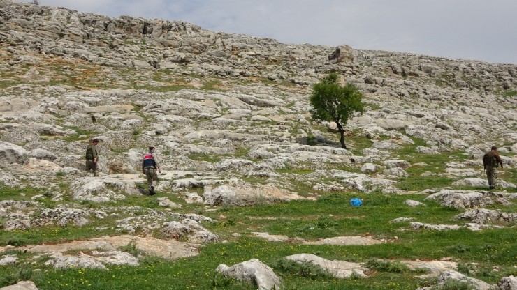 Yaşlı Kadın Dağ Taş Her Yerde Aranıyor