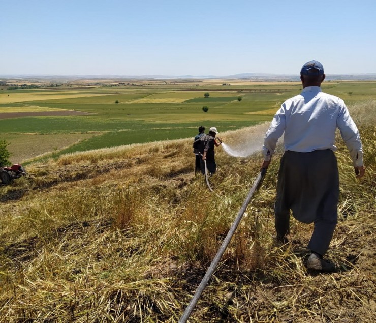 Adıyaman’da 10 Dönüm Buğday Tarlası Yandı