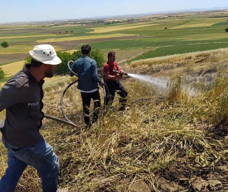 Adıyaman’da 10 Dönüm Buğday Tarlası Yandı