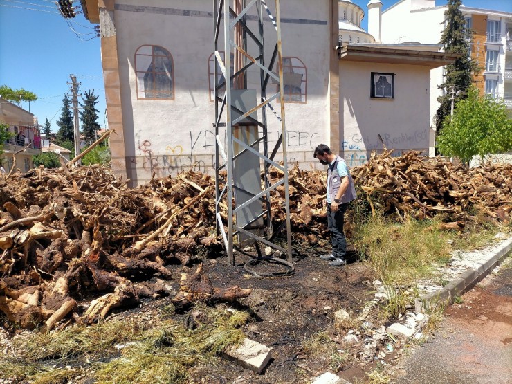 Kopan Elektrik Teli Yangına Neden Oldu