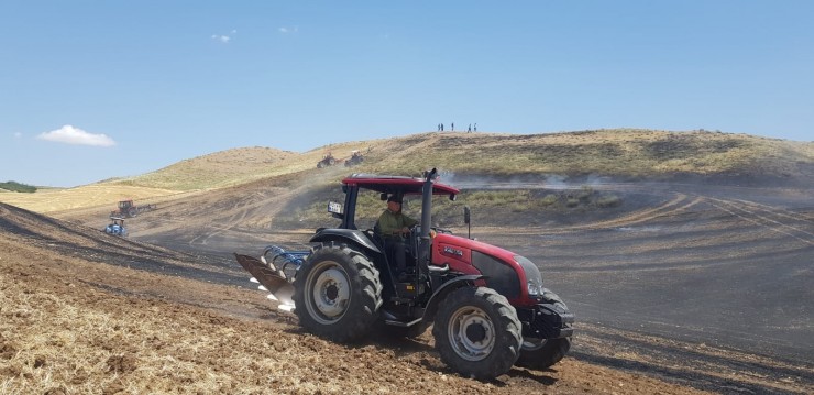 Tarlada Çıkan Yangında 15 Dönüm Arpa Kül Oldu