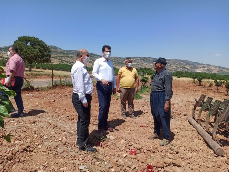 Kaymakam Köksal Güneş Panelleriyle Sulanacak Arazileri İnceledi