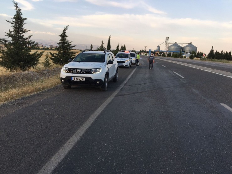 Adıyaman’da Keklik Sürüsü Kazaya Neden Oldu