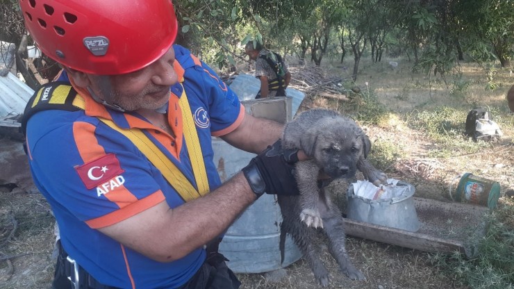 Kuyuda 3 Gündür Mahsur Kalan Yavru Köpek Kurtarıldı