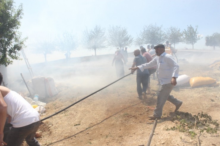 Yangında Hayvanlar Yaralandı, İnsanlar Zehirlendi