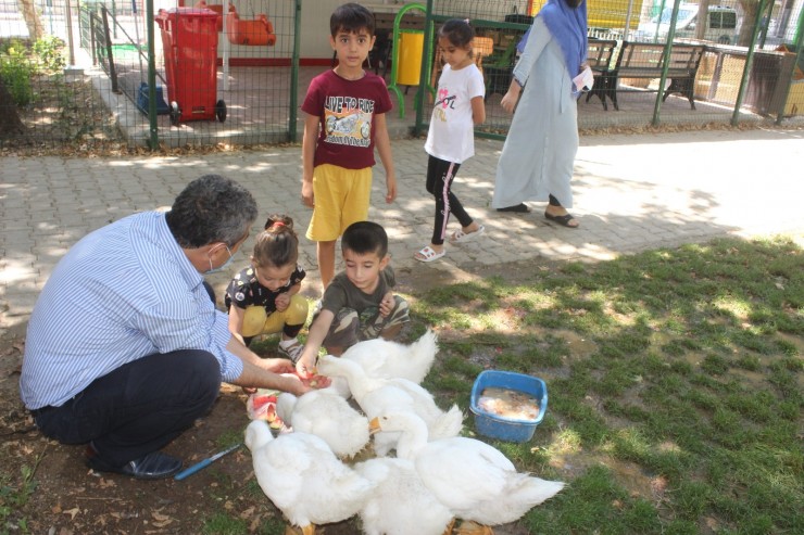 Mahalle Muhtarı, Çocuklar İçin Mini Hayvanat Bahçesi Yaptı