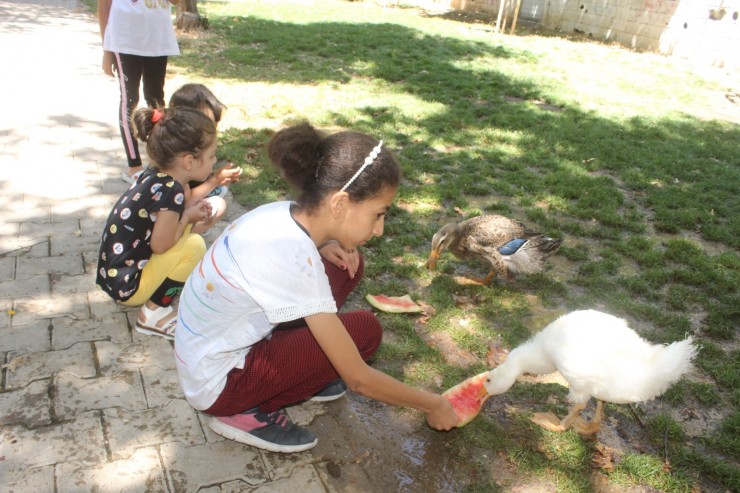 Mahalle Muhtarı, Çocuklar İçin Mini Hayvanat Bahçesi Yaptı