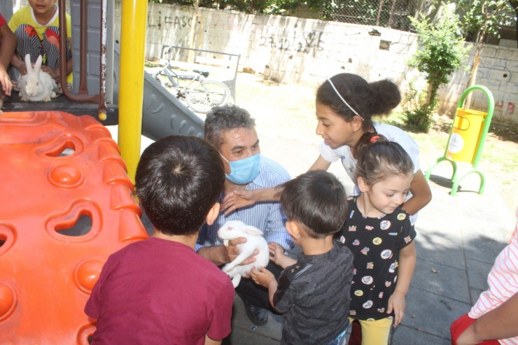 Mahalle Muhtarı, Çocuklar İçin Mini Hayvanat Bahçesi Yaptı