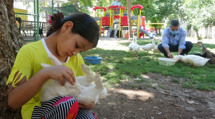 Mahalle Muhtarı, Çocuklar İçin Mini Hayvanat Bahçesi Yaptı