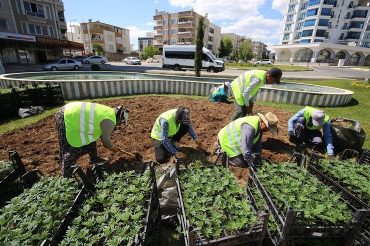 Refüj Ve Kavşaklarda Bakım Çalışmaları