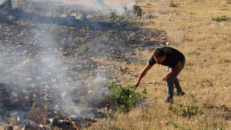 Orman Yangınına İlk Müdahale Gazeteciler İle Vatandaşlardan Geldi