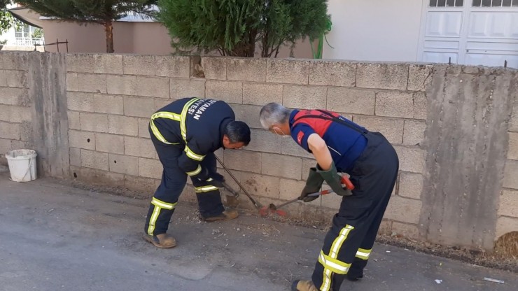 Kent Merkezinde Yılan Operasyonu