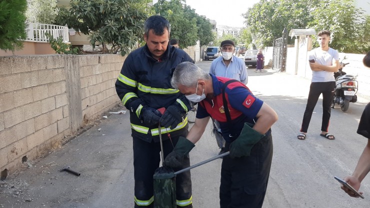 Kent Merkezinde Yılan Operasyonu