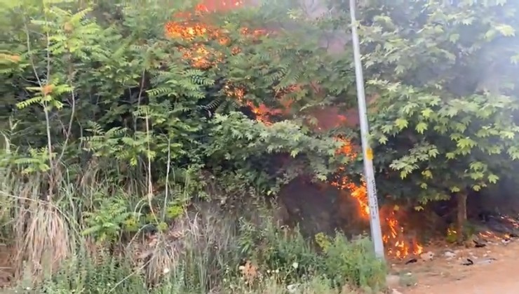 Orman Yangını Büyümeden Söndürüldü