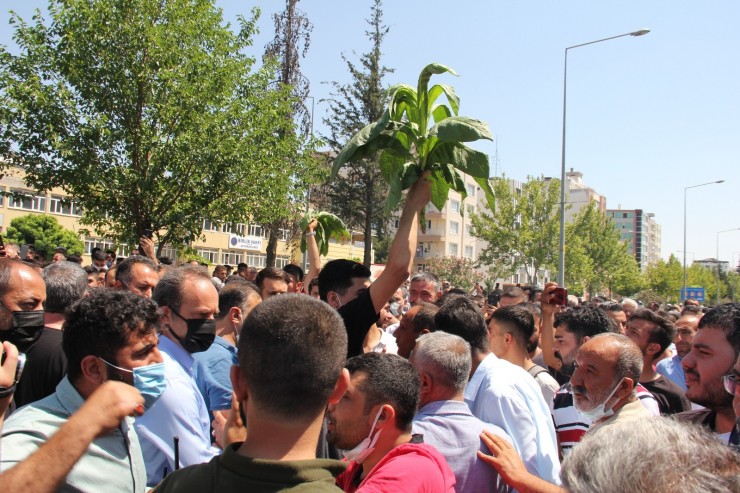 Vali Konuştu, Tütün Eylemcileri Dağıldı