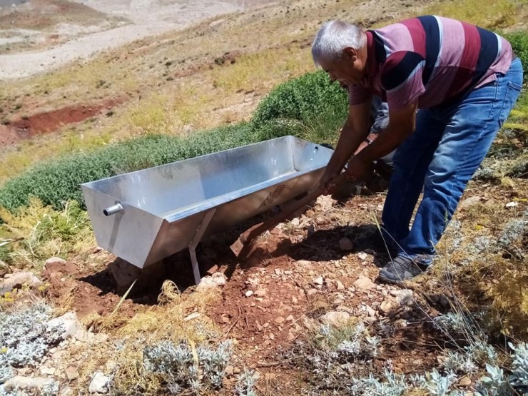 Kavurucu Sıcaklarda Yaban Hayvanları Unutulmadı