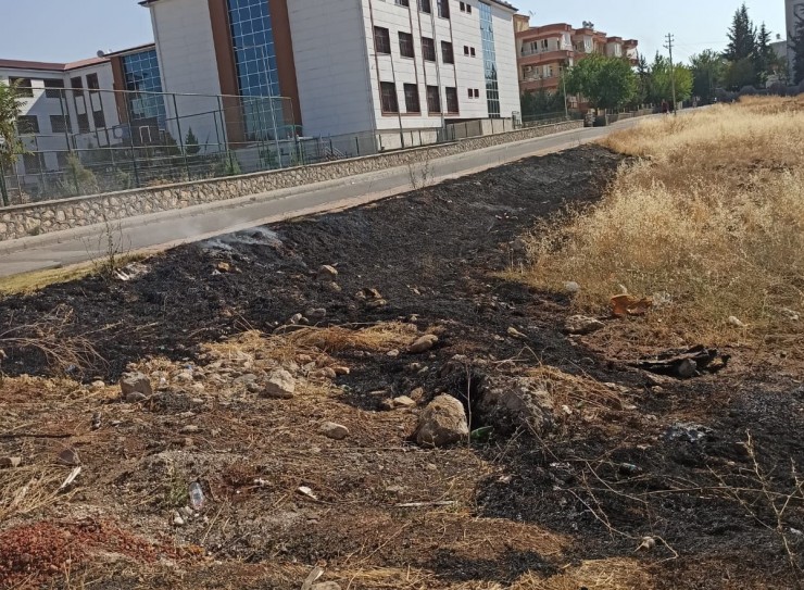 Elektrik Tellerine Takılan Güvercin Yangına Neden Oldu