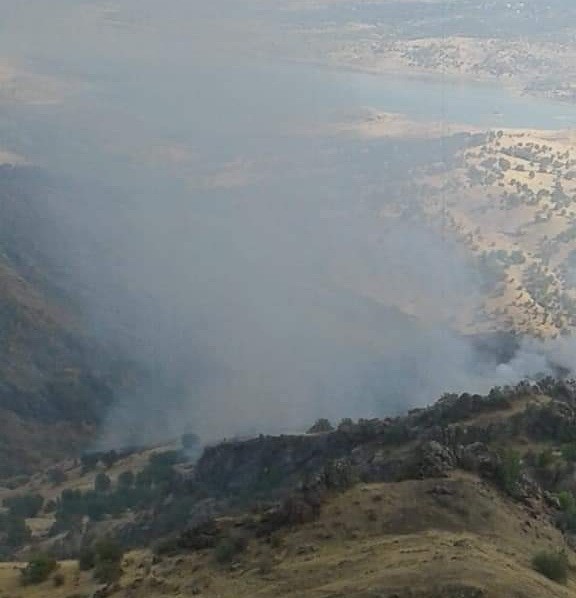 Adıyaman’da Orman Yangını