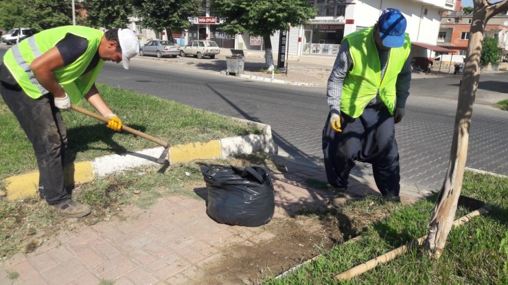 Gölbaş’nda Yabani Otları İlaçlıyor