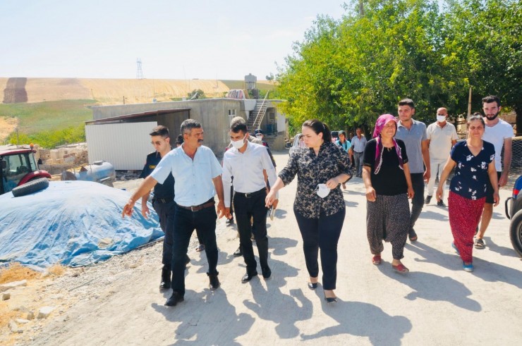 Kaymakam Demir, Çalışmaları Yerinde İnceledi