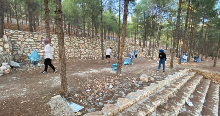 Sosyal Medya Üzerinden Bir Araya Gelip Ormanı Temizlediler