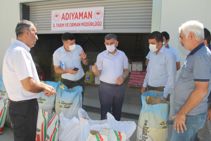 Çiftçilere Yem Bitkisi Tohumu Dağıttı