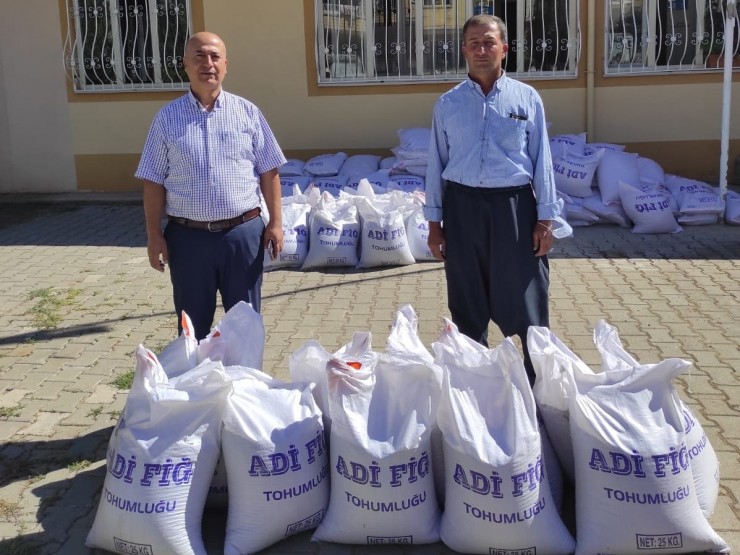 Üreticilere Yem Bitkisi Tohumu Dağıtıldı